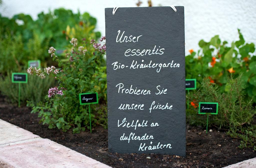 Essentis Ecohotel Berlin Exteriör bild